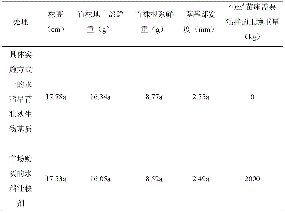 Production method of rice seedling dry raising and strengthening biological medium and application thereof