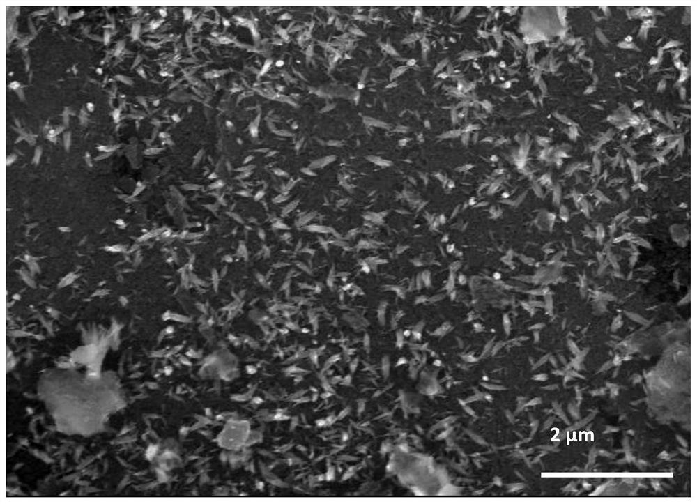 Expanded graphite negative electrode material loaded with willow-shaped iron ferric oxide and preparation method thereof