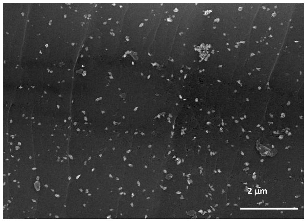 Expanded graphite negative electrode material loaded with willow-shaped iron ferric oxide and preparation method thereof