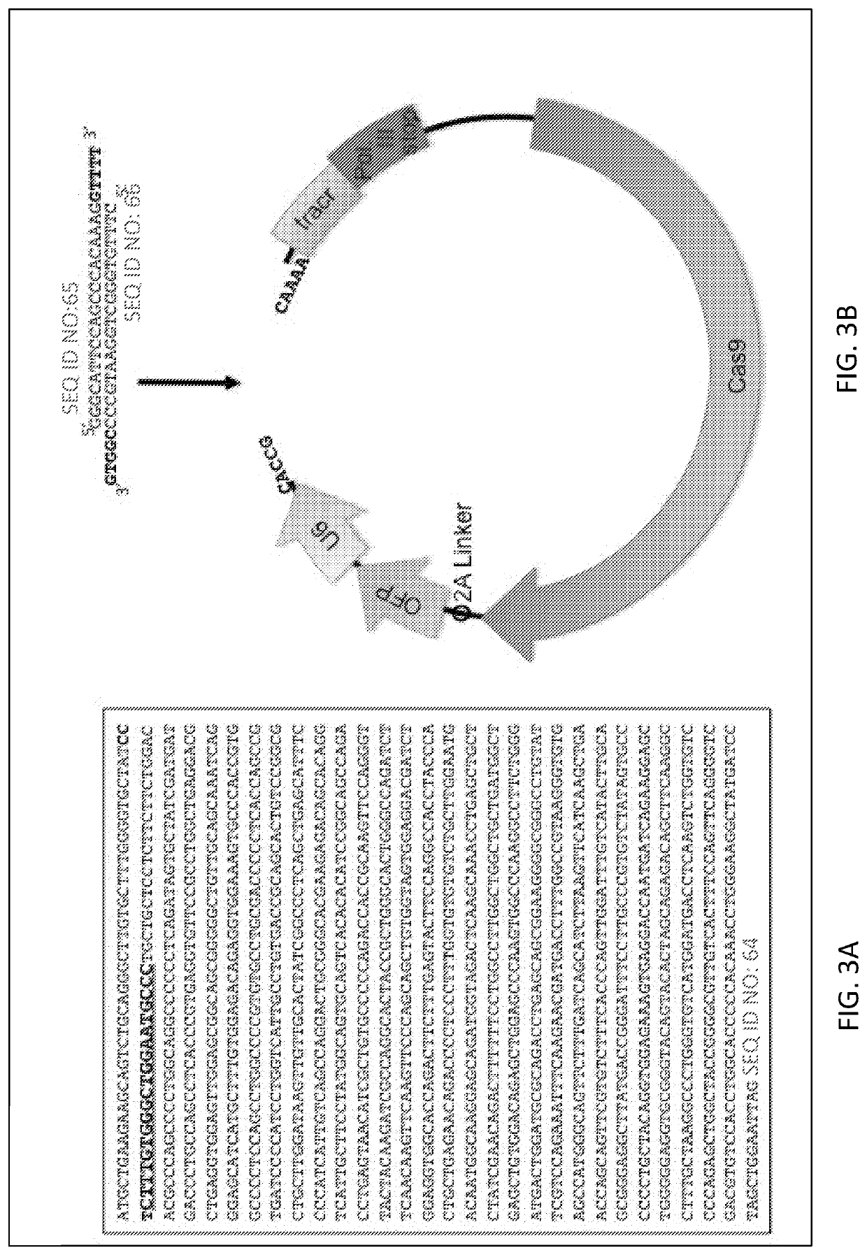 MGAT1-Deficient Cells for Production of Vaccines and Biopharmaceutical Products