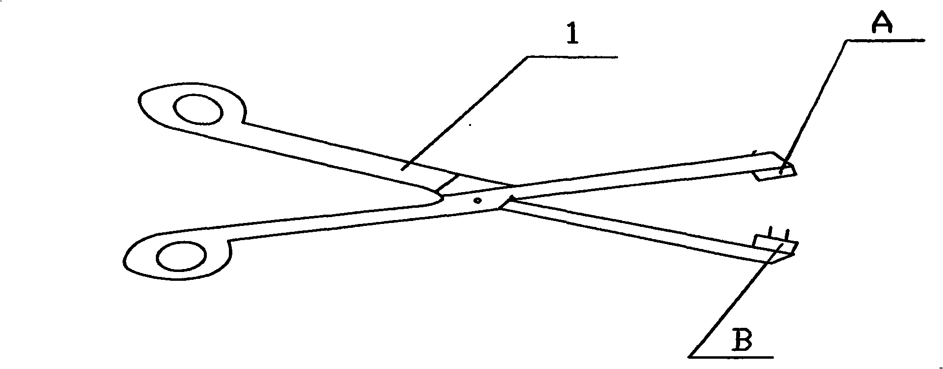 Plant diseases inoculation tool and application thereof in inoculation by needle punching method