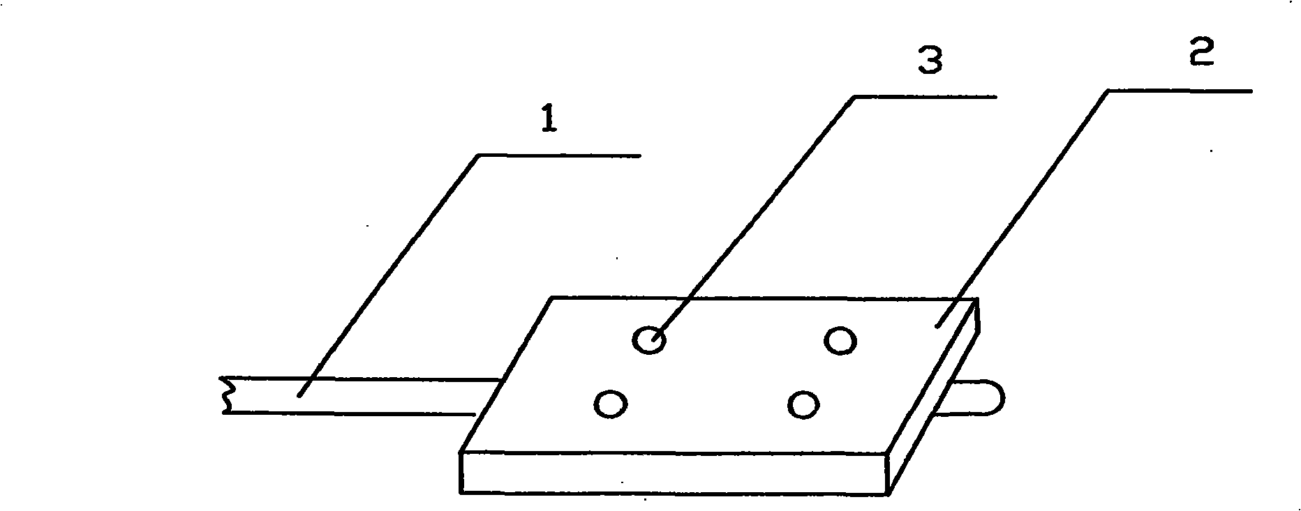 Plant diseases inoculation tool and application thereof in inoculation by needle punching method