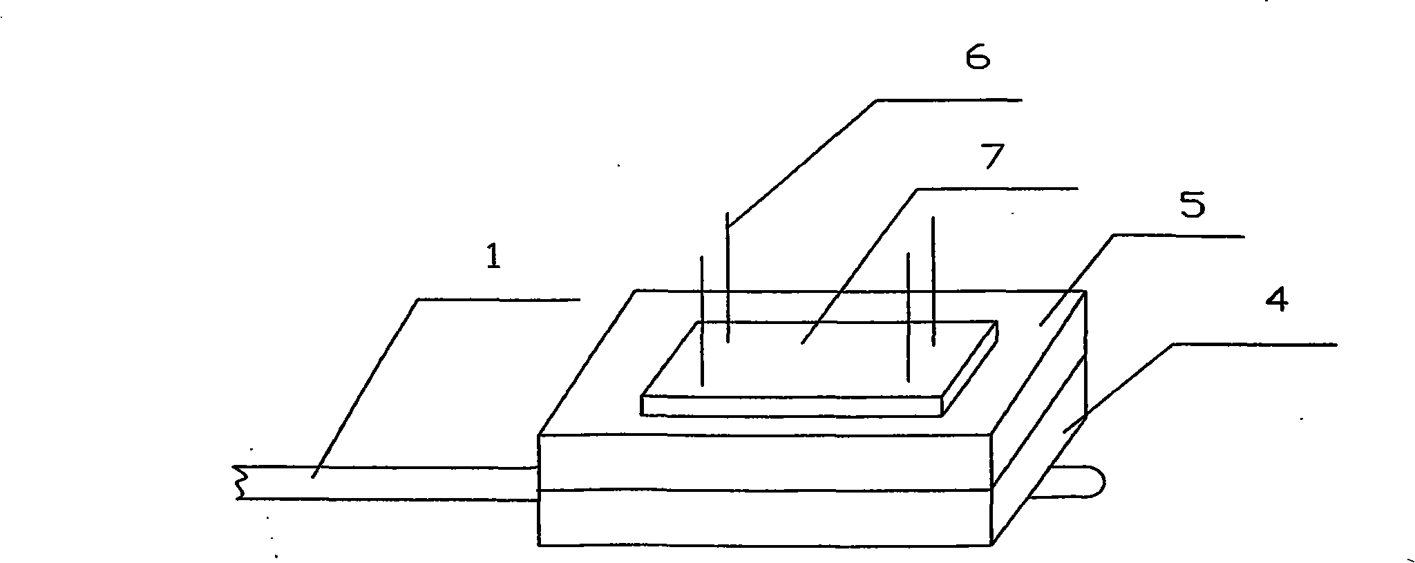 Plant diseases inoculation tool and application thereof in inoculation by needle punching method