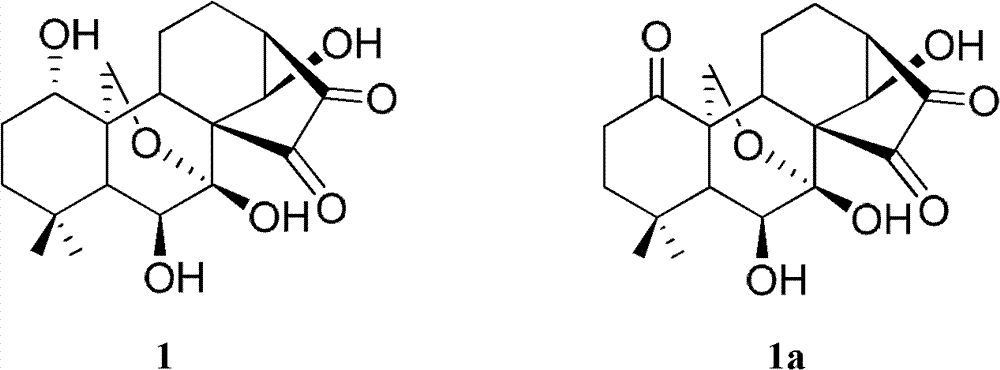 Enantiomorphous-kaurene diterpene and derivative and preparation method thereof