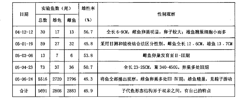 Method for producing seeds of self-breeding YY type ultra-male Tilapia