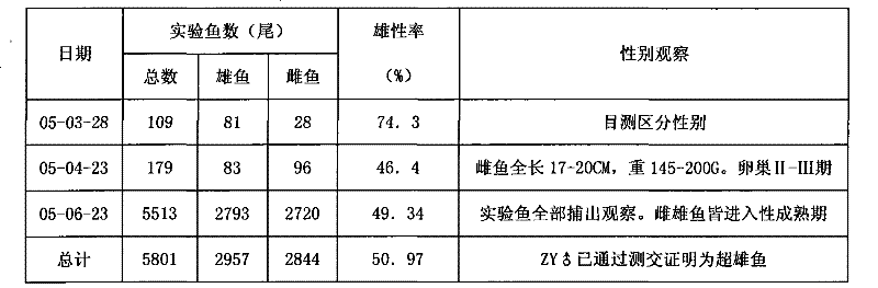 Method for producing seeds of self-breeding YY type ultra-male Tilapia