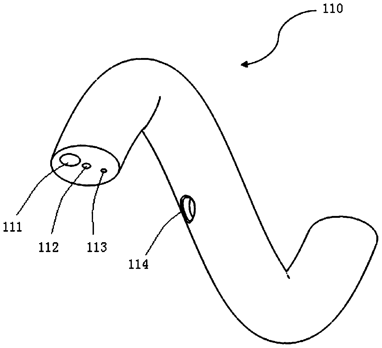 Rotating and mixing carrying system and carrying method thereof