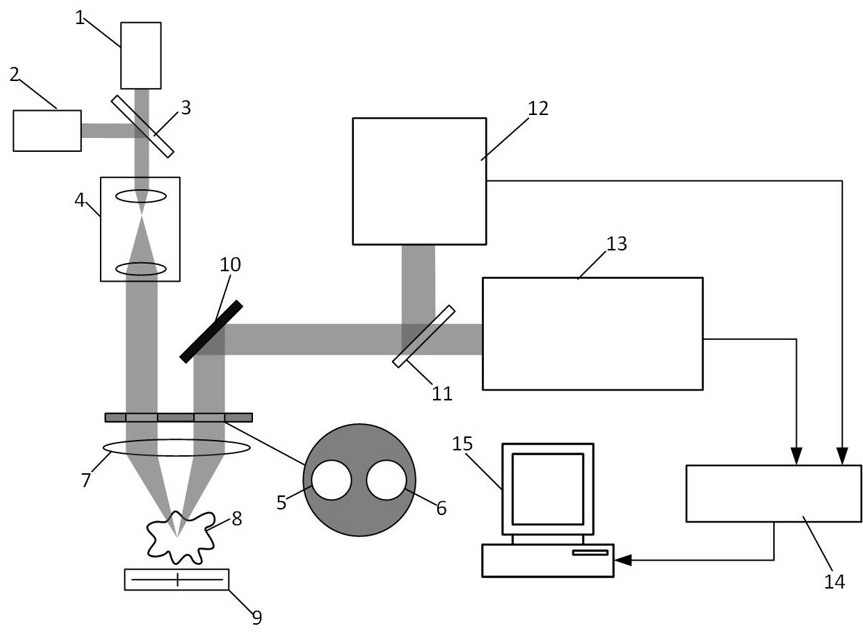 Split-pupil confocal discrete fluorescence spectroscopy and fluorescence lifetime detection method and device