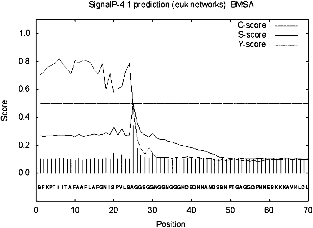 Polypeptide fragment specifically binding to serum of Babesiosis patients, and amino acid sequence thereof