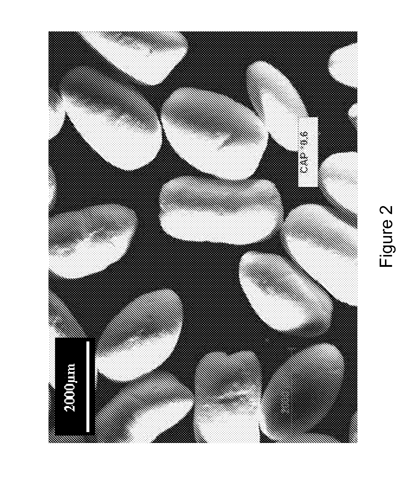 Controlled-release floating pharmaceutical compositions
