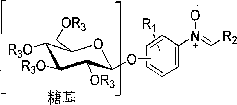 O-glycoside nitrone compound and synthetic method thereof