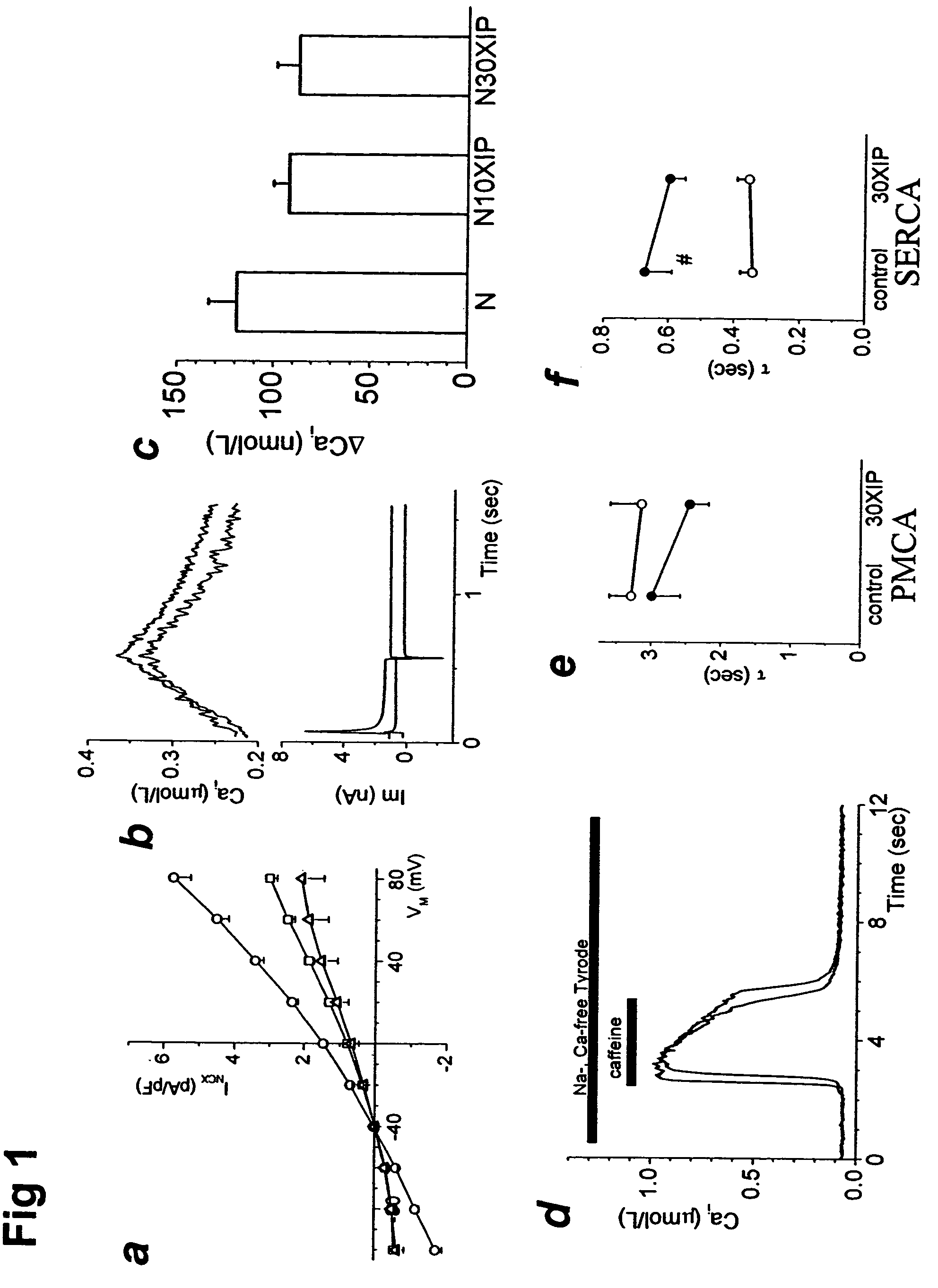 Method for treating heart failure by inhibiting the sarcolemmal sodium/calcium exchange