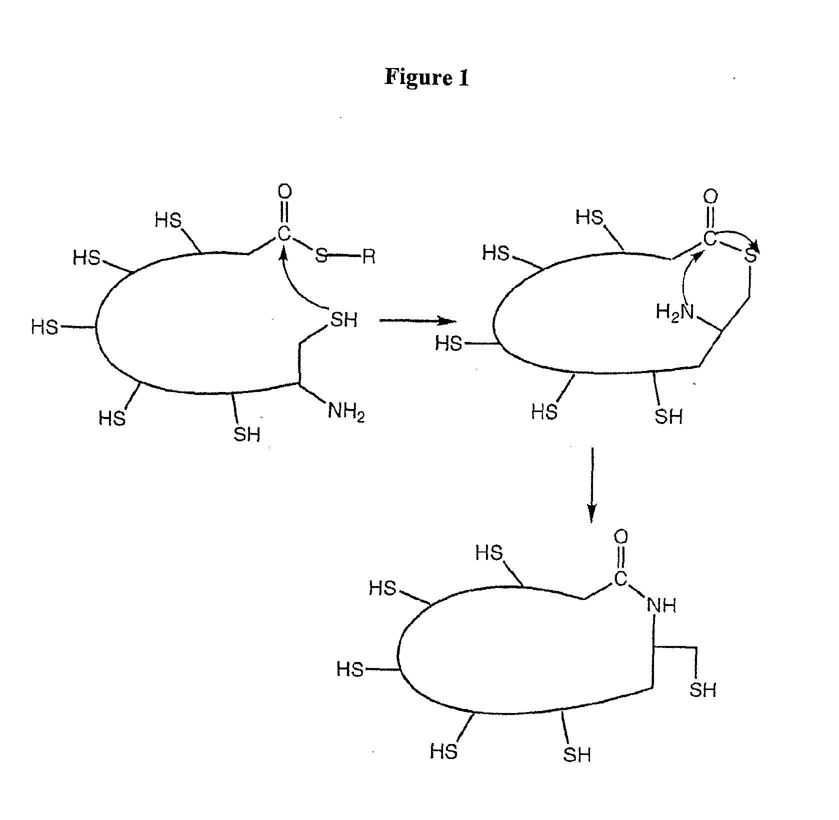 Cyclised alpha-conotoxin peptides