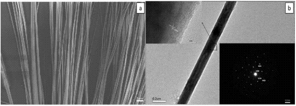 Preparation method and application of orthorhombic cesium lead iodide single crystal nanowire