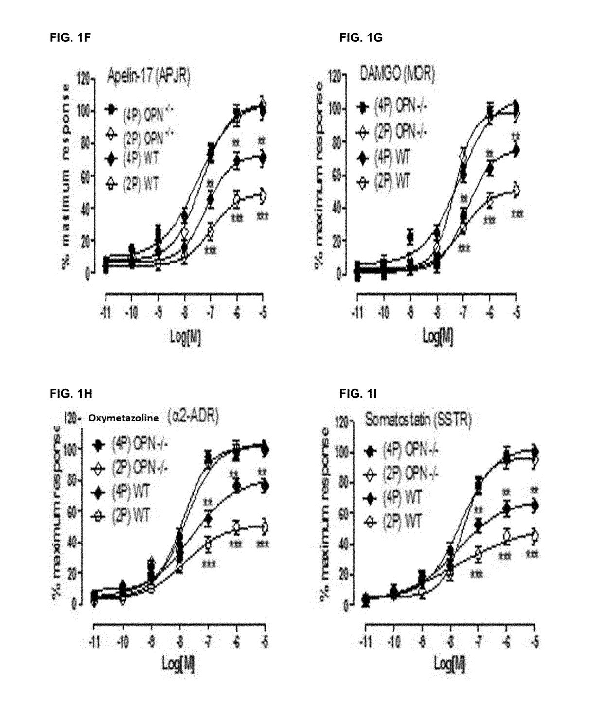 Method of Increasing GIPCR Signalization in the Cells of a Scoliotic Subject