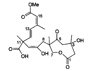 Application of Sarcaboside B in preparation of medicines for treating atherosclerosis