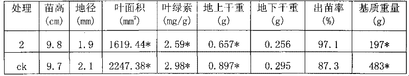 Soilless culture matrix for castanopsis fissa container seedling, and preparation method of soilless culture matrix