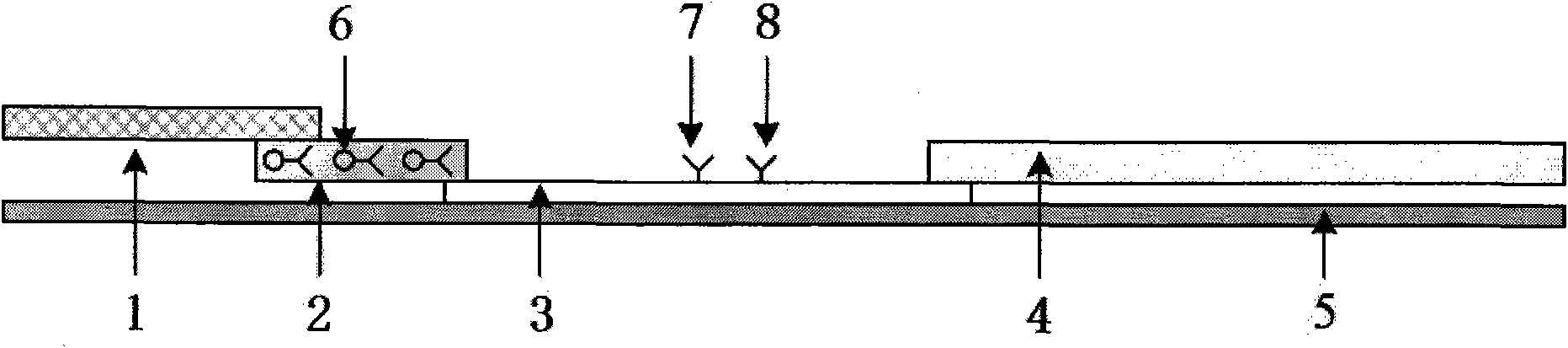 Immunochromatography rapid kit and production method thereof