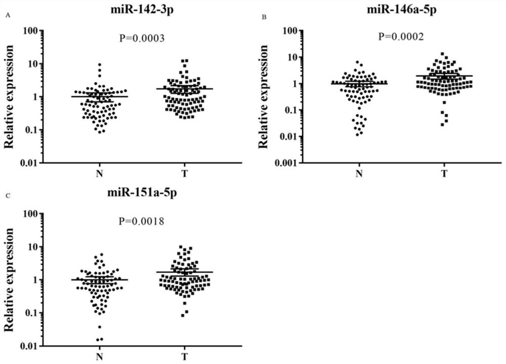 A circulating miRNA marker related to auxiliary diagnosis of endometrial cancer and its application