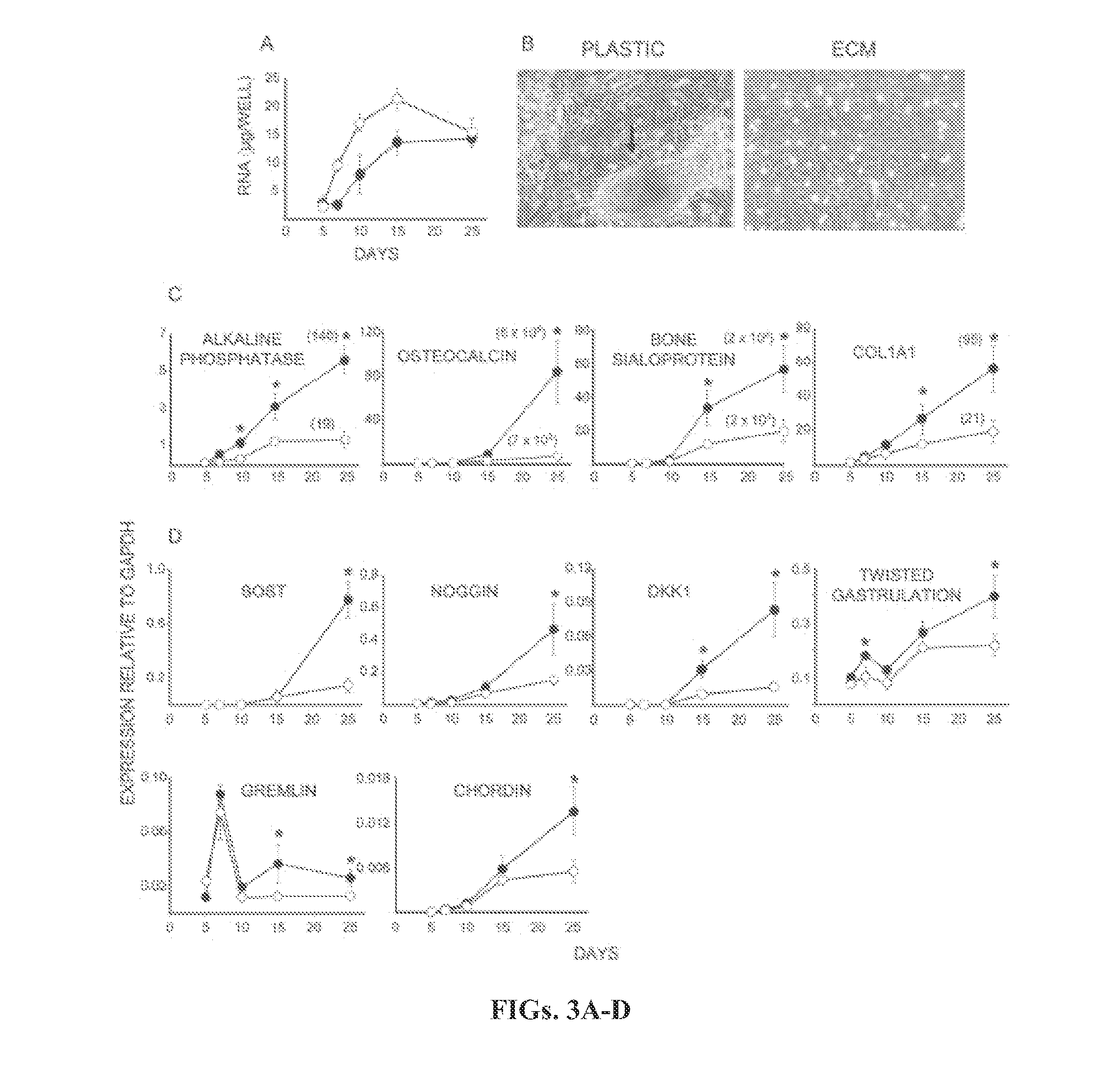 Tissue-specific differentiation matrices and uses thereof