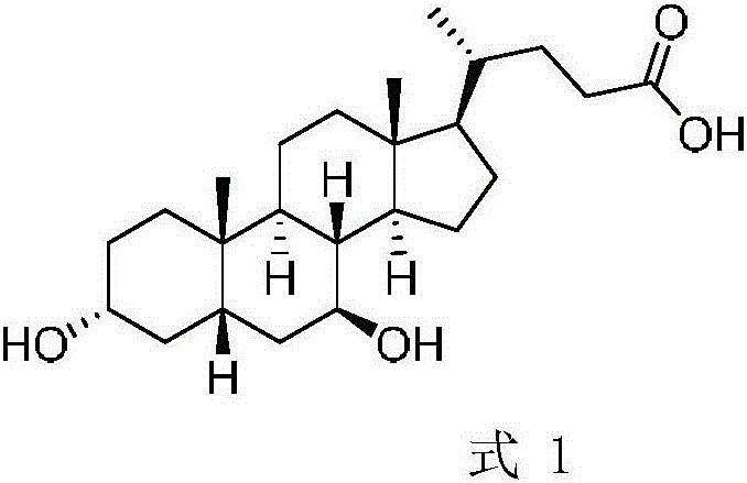 A chemical-enzyme method of preparing ursodeoxycholic acid