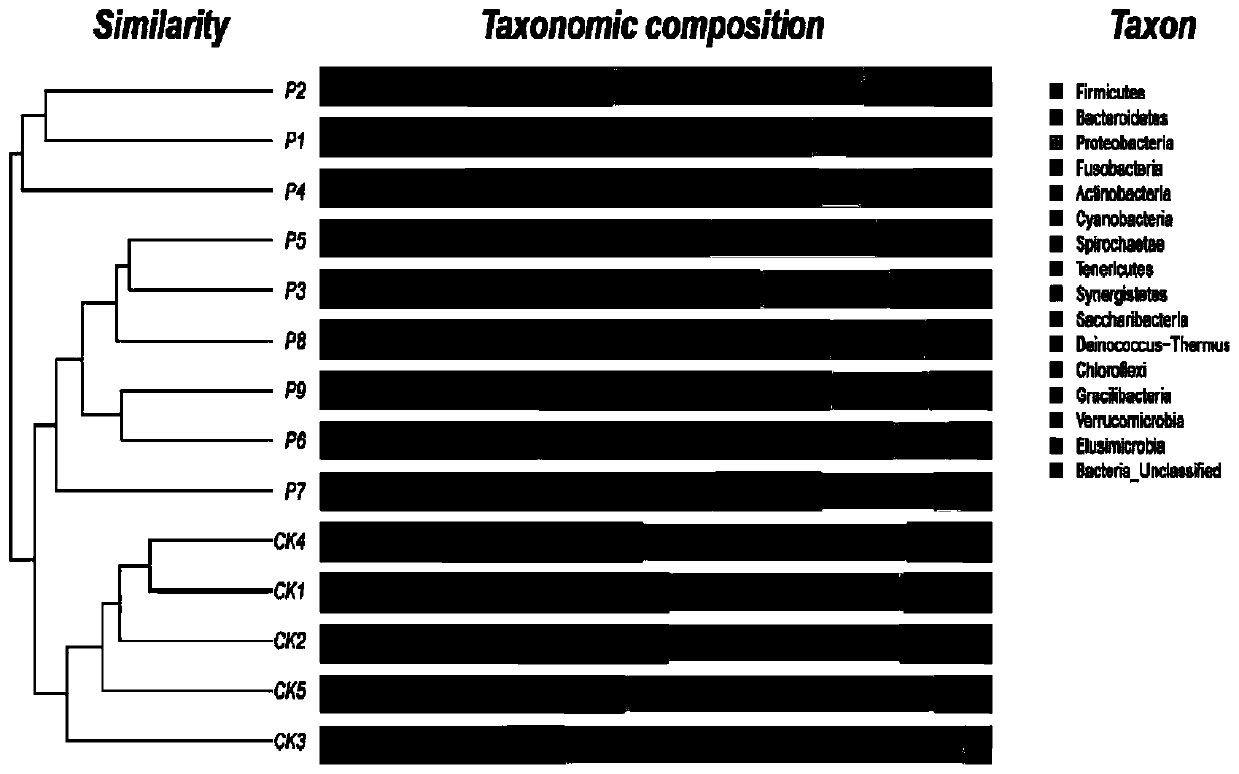 Oral metagenome data analysis method based on high-flux sequencing