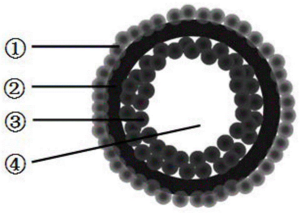 Preparation method of magnetic ultrasonic imaging microsphere containing polybutadiene