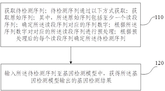 Data processing method and device for gene detection and electronic equipment