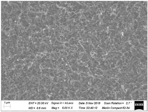 Preparation method of carbon nanoribbon anticorrosive layer on surface of stainless steel