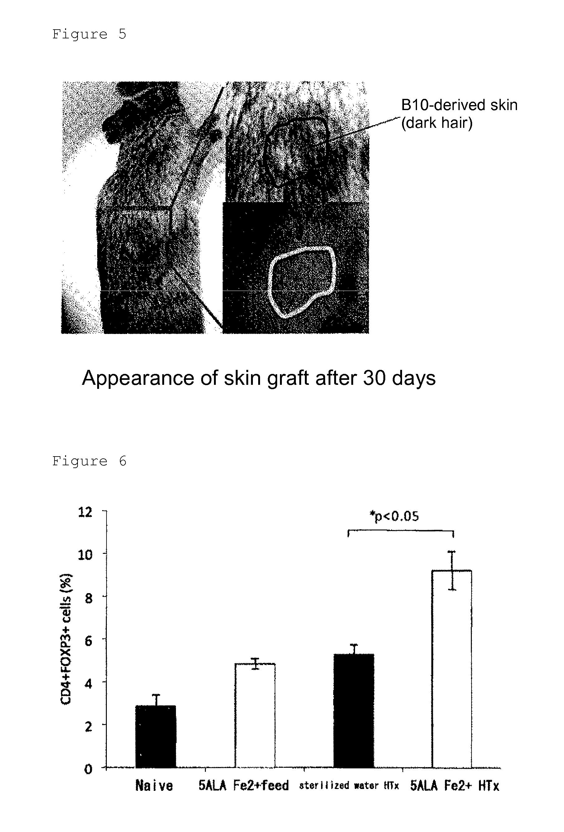 Enhancer of survival of transplanted organ