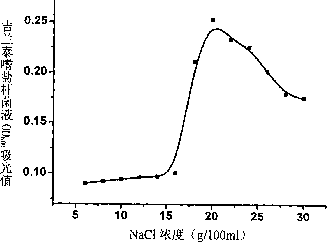 Halobacterium jilantaiense and application thereof