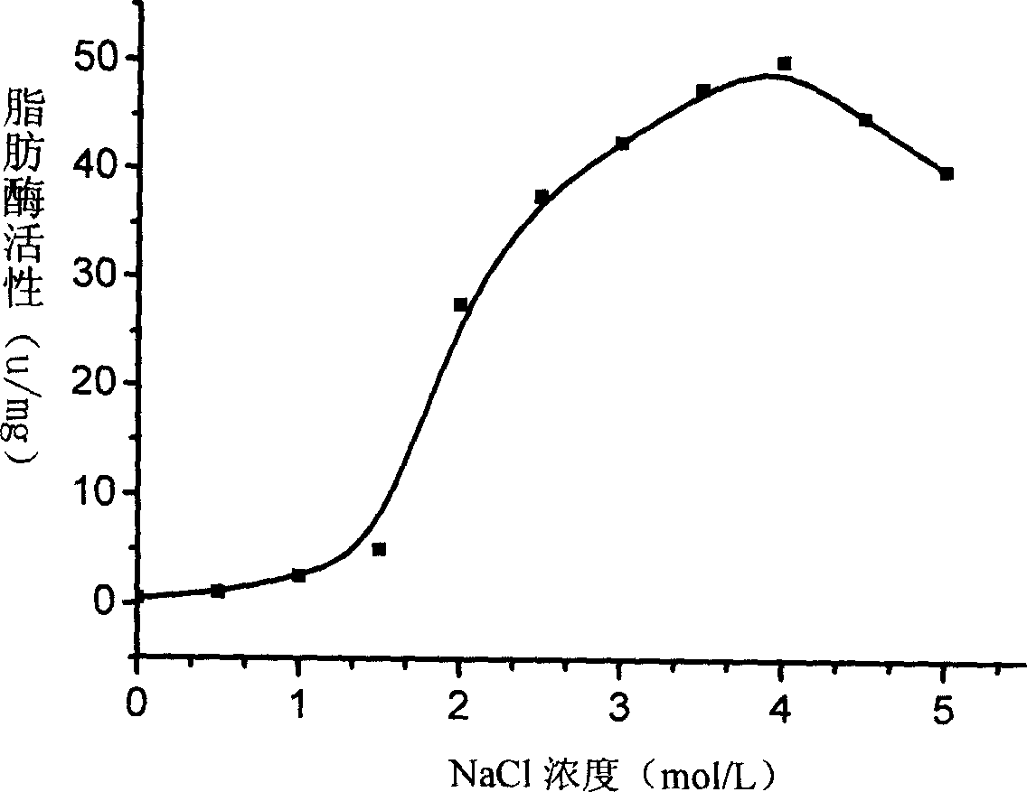 Halobacterium jilantaiense and application thereof