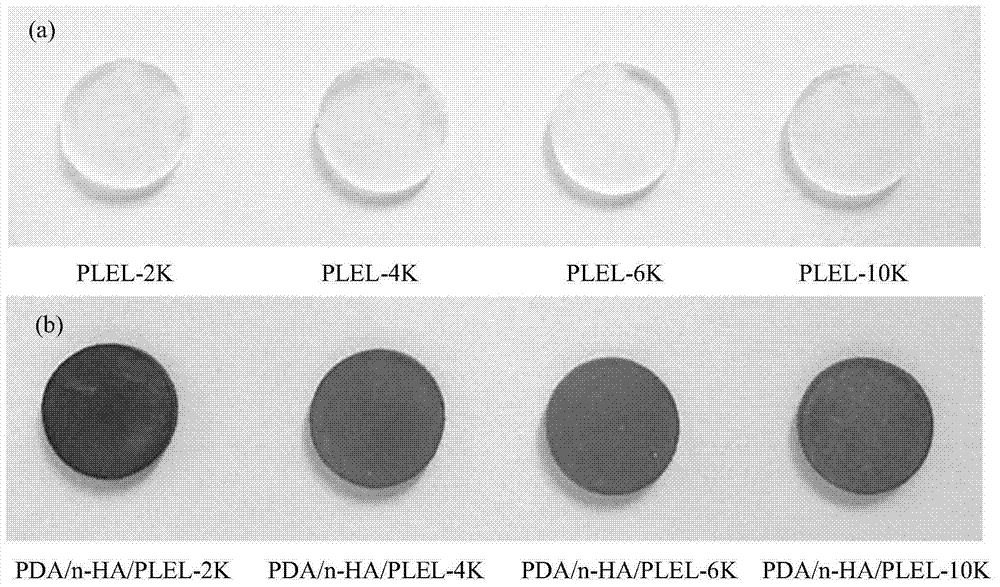 A preparation method of surface modified composite material for bone repair