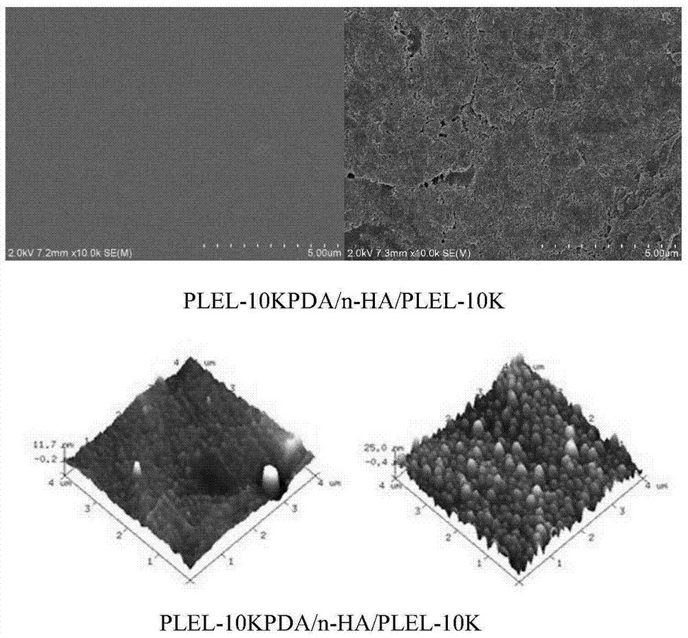 A preparation method of surface modified composite material for bone repair