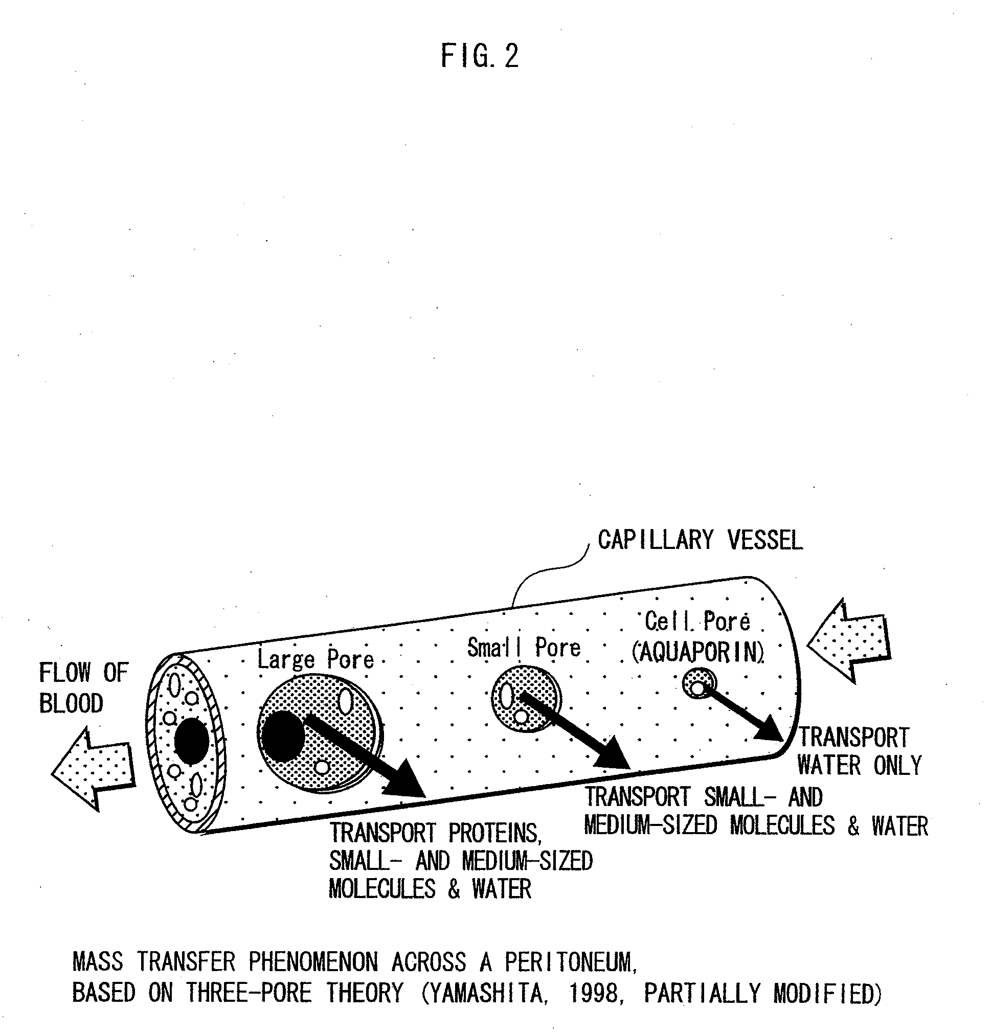 Method for testing peritoneum function and a peritoneal dialysis planning apparatus