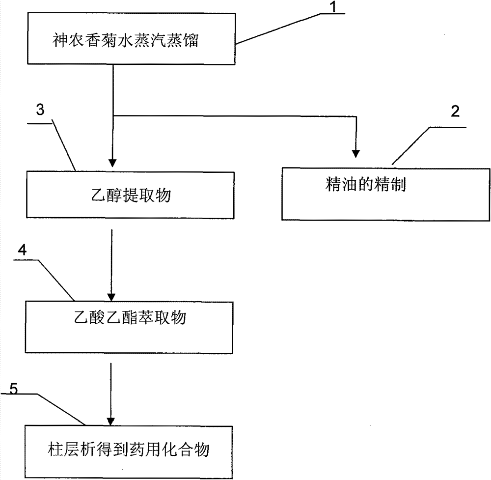 Method for extracting and separating spice and medicinal components from whole plants of Dendranthema indicum