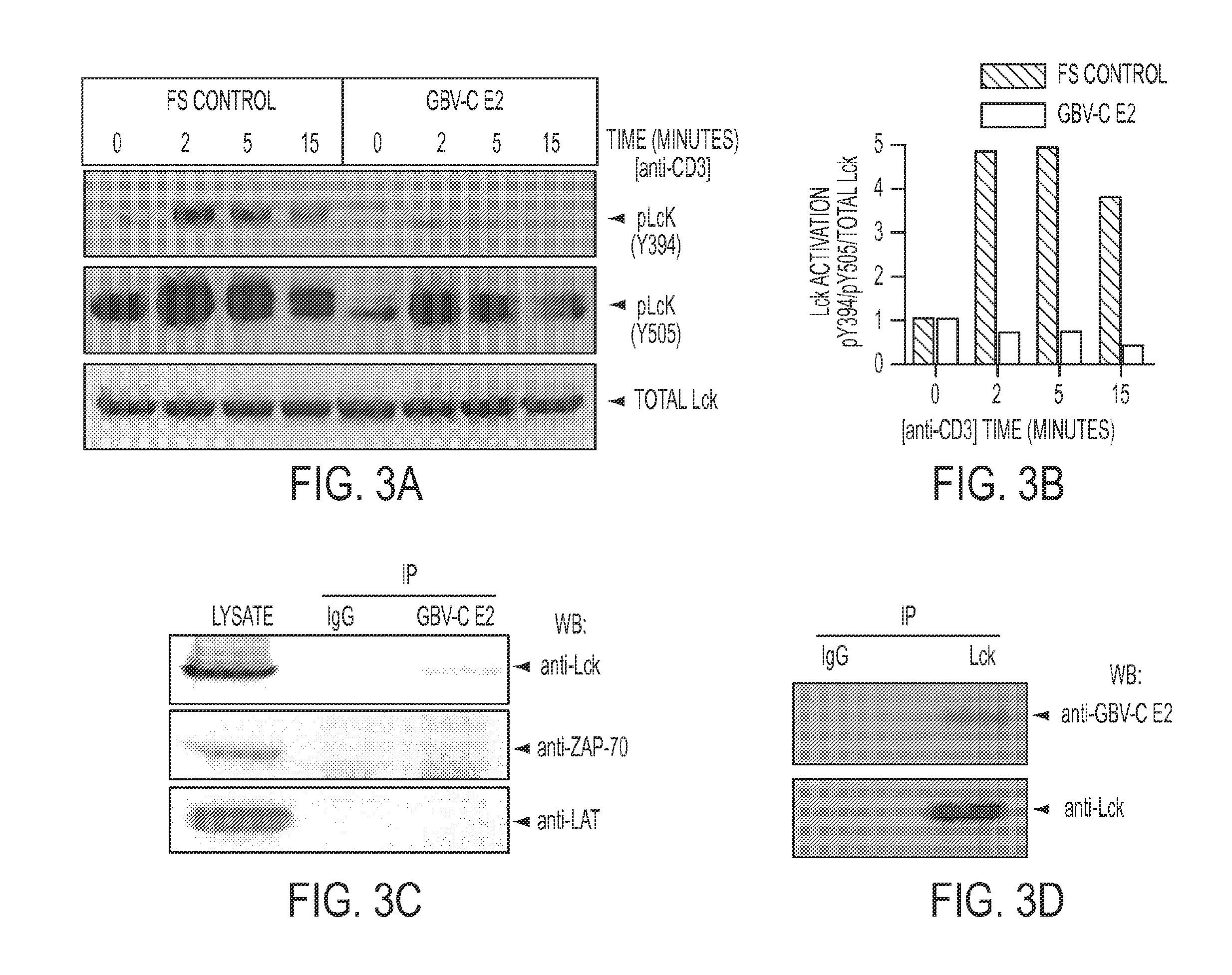 Viral proteins as immunomodulatory agents and vaccine components