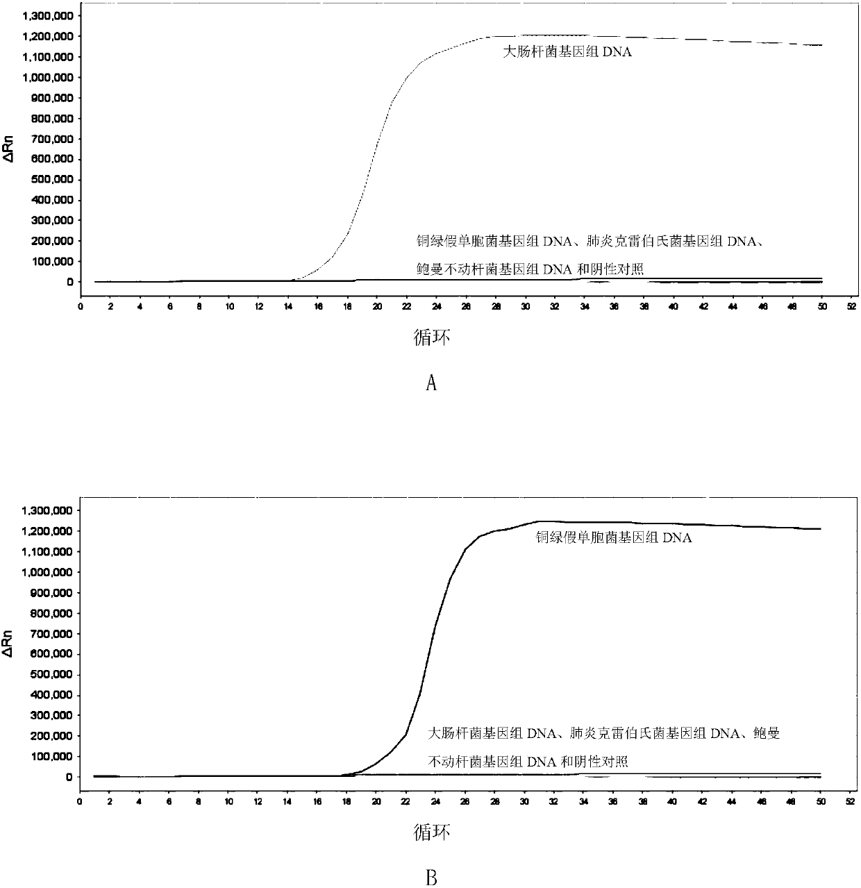 LAMP primer combination for detecting 4 gram-negative bacteria in intraocular fluid and application thereof