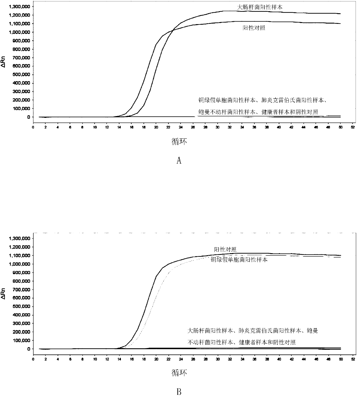 LAMP primer combination for detecting 4 gram-negative bacteria in intraocular fluid and application thereof