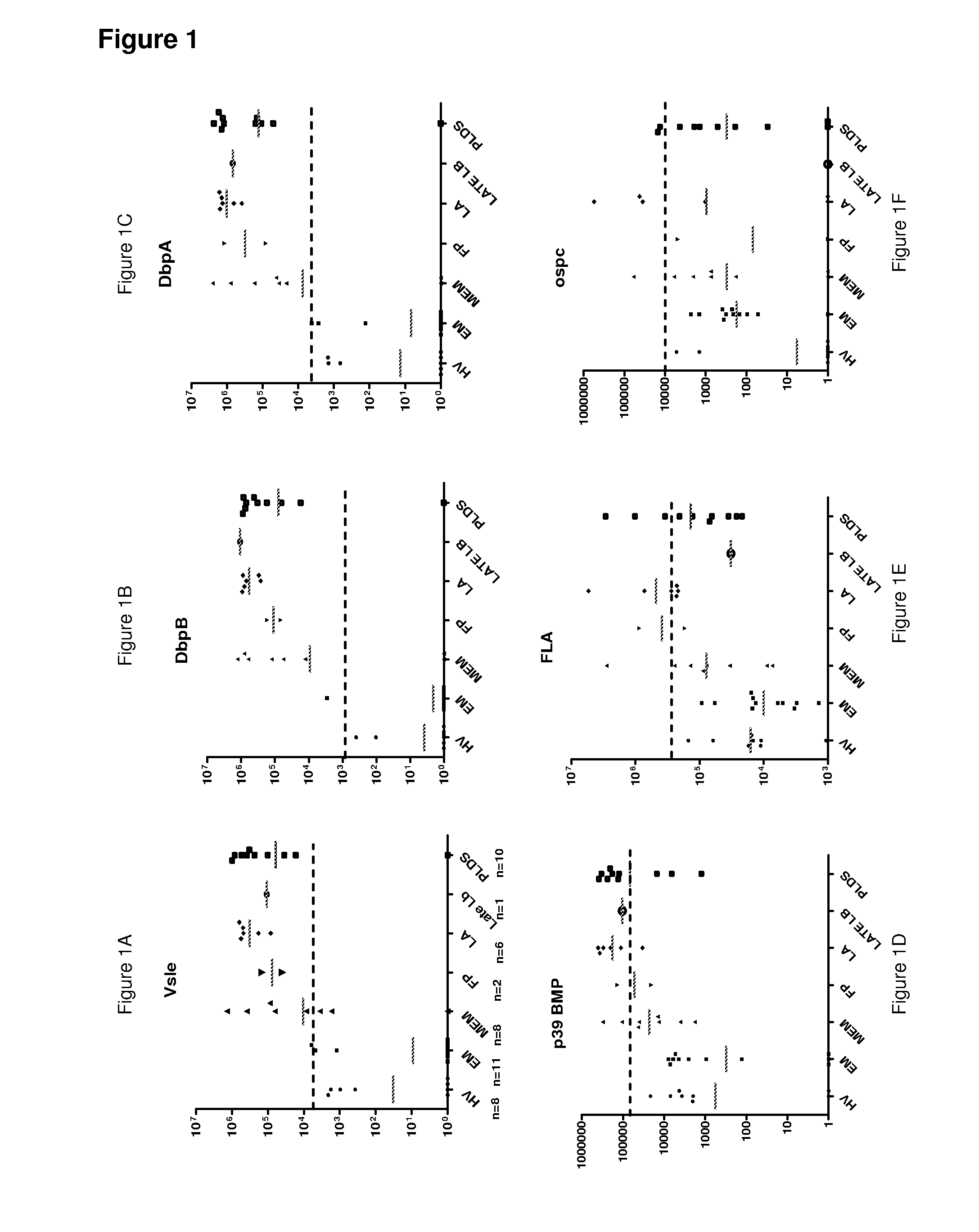 Compositions and methods for screening for lyme disease