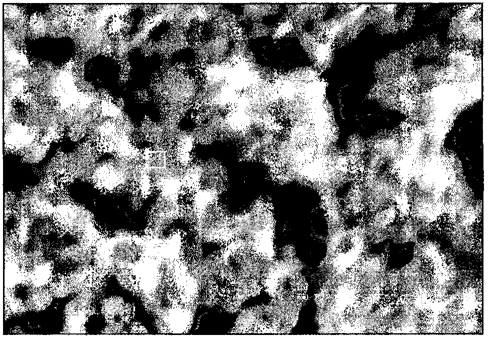 Preparation method for adsorbent capable of removing heavy metals