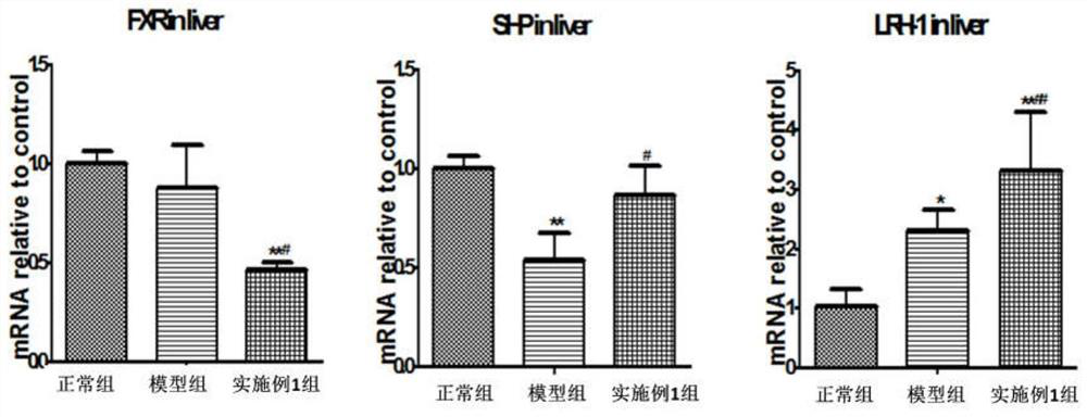 Traditional Chinese medicine composition for nourishing yin and clearing heat and application thereof