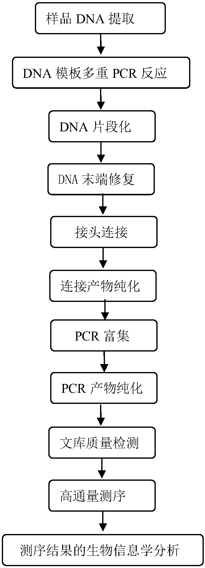 Kit for detecting Rett syndrome pathogenic gene SNP loci based on next generation sequencing and detection method thereof