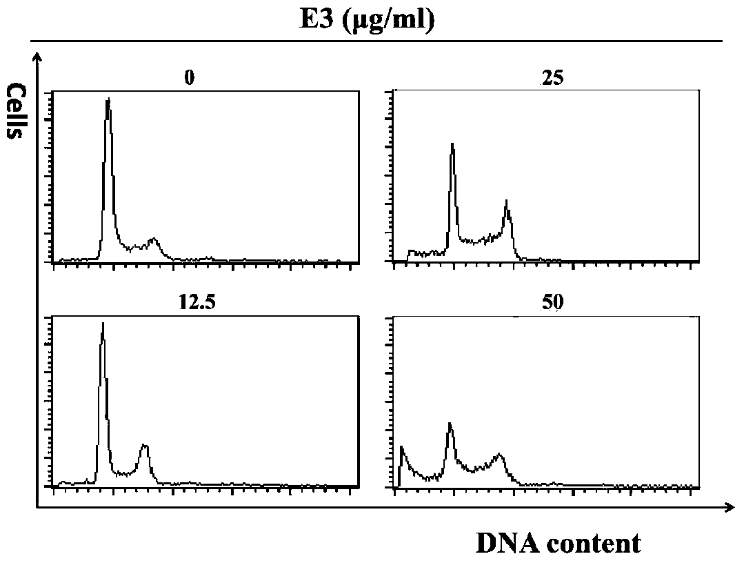 A kind of enriched fraction of glutarum phenolic acid and its application in the preparation of antitumor drugs