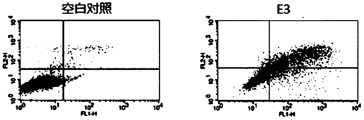 A kind of enriched fraction of glutarum phenolic acid and its application in the preparation of antitumor drugs