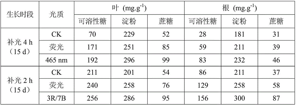 Method for utilizing LED delayed supplementary lighting to promote rice seedling raising