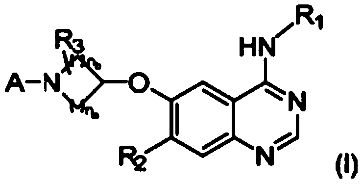 Inhibitors of mutant EGFR family tyrosine-kinases