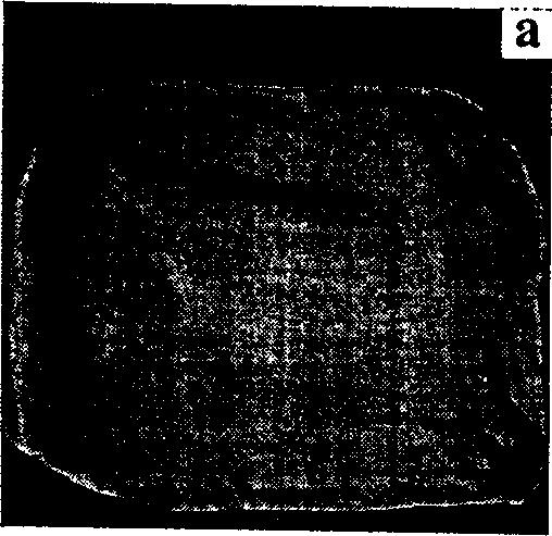 Method of preparing hud typed Nano/micron fibers or capsules for use of slow releasing medication