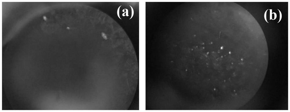 An alkaline earth metal [mg(lna)  <sub>2</sub> ]  <sub>n</sub> Single crystal adsorption material and its preparation method and application