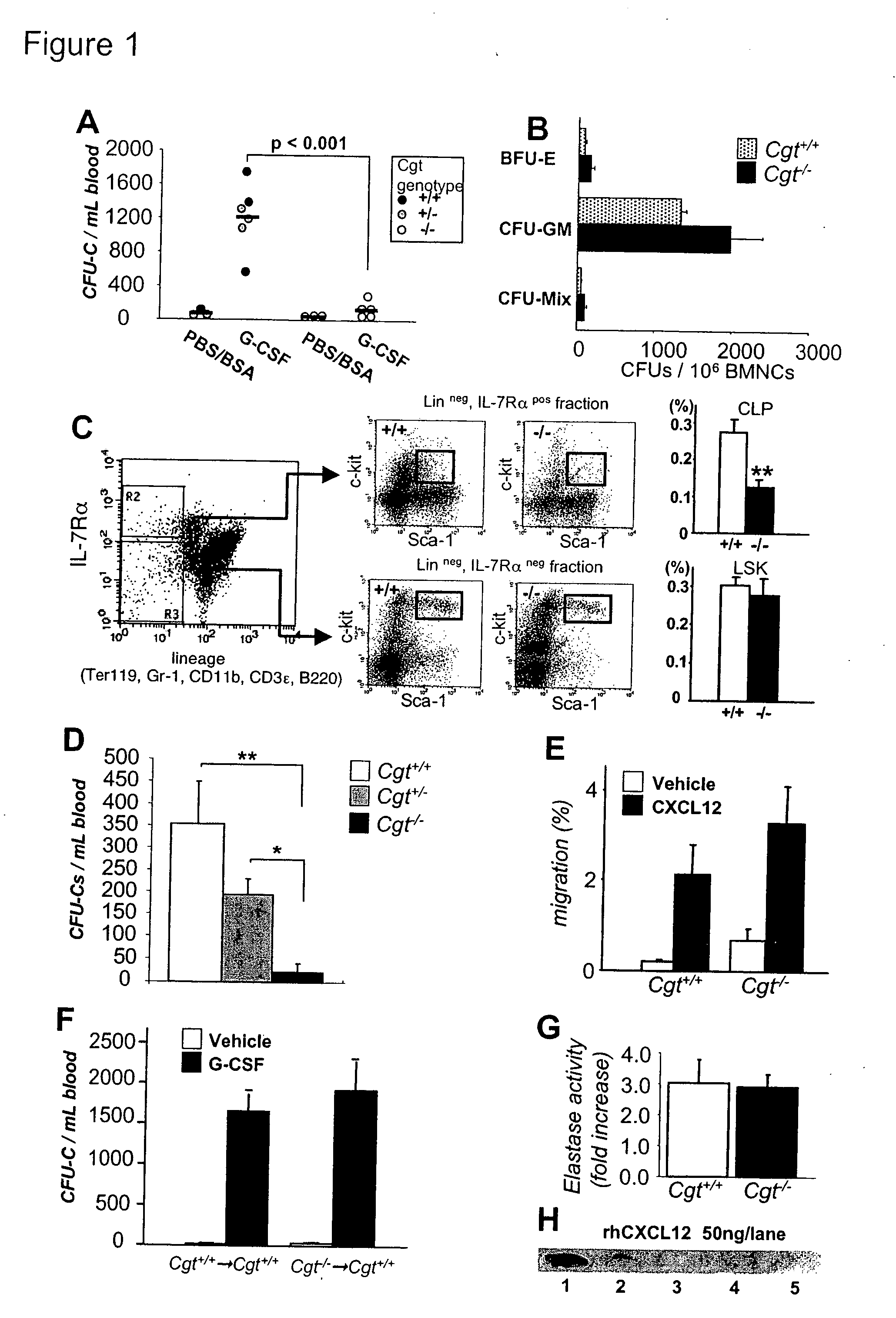 Methods and compositions for modulating the mobilization of stem cells